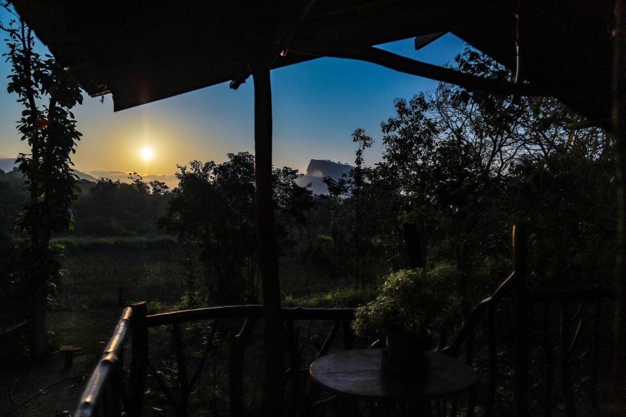 Sigiriya Rock Gate Tree House Hotel Kültér fotó