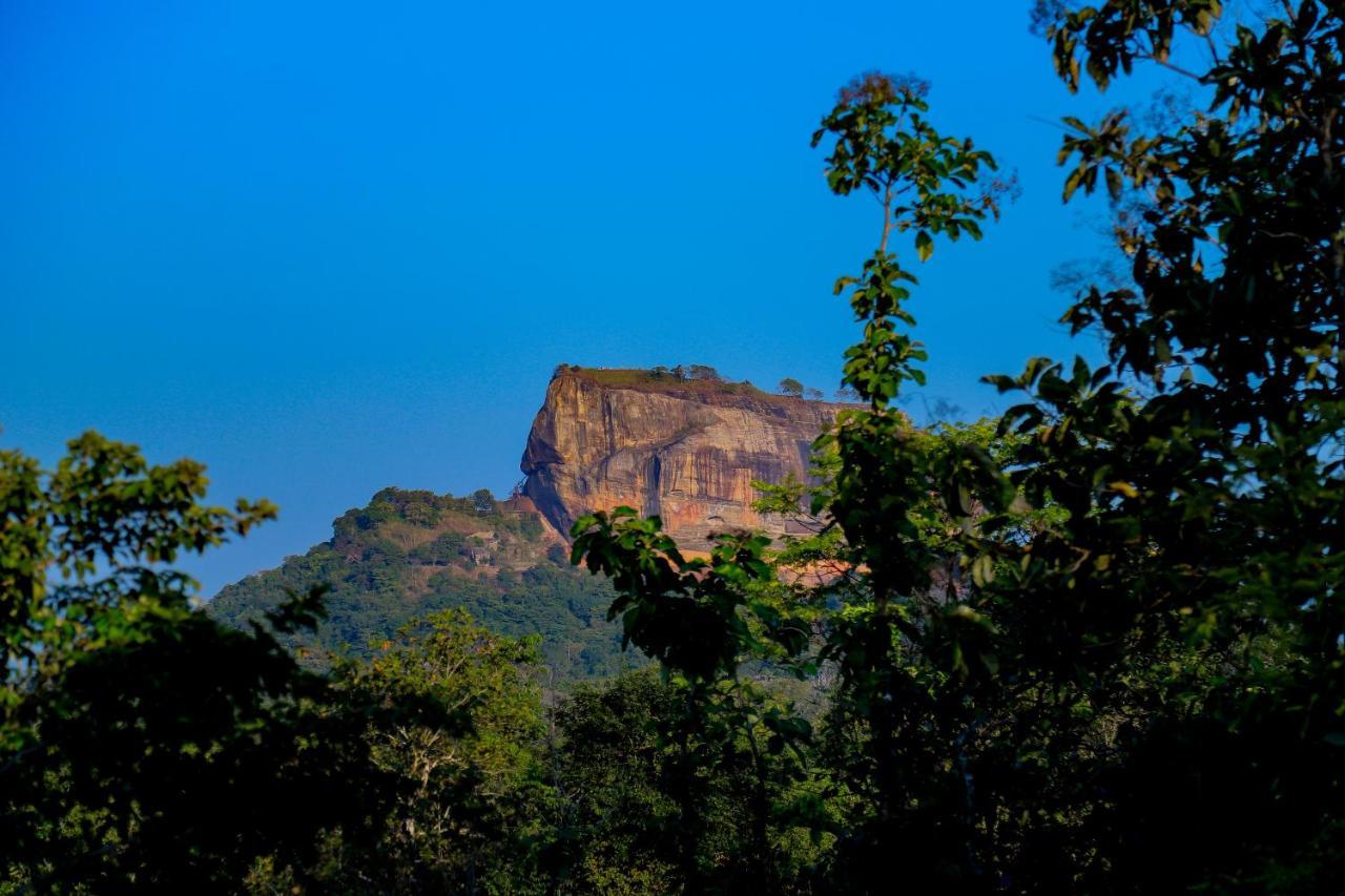 Sigiriya Rock Gate Tree House Hotel Kültér fotó