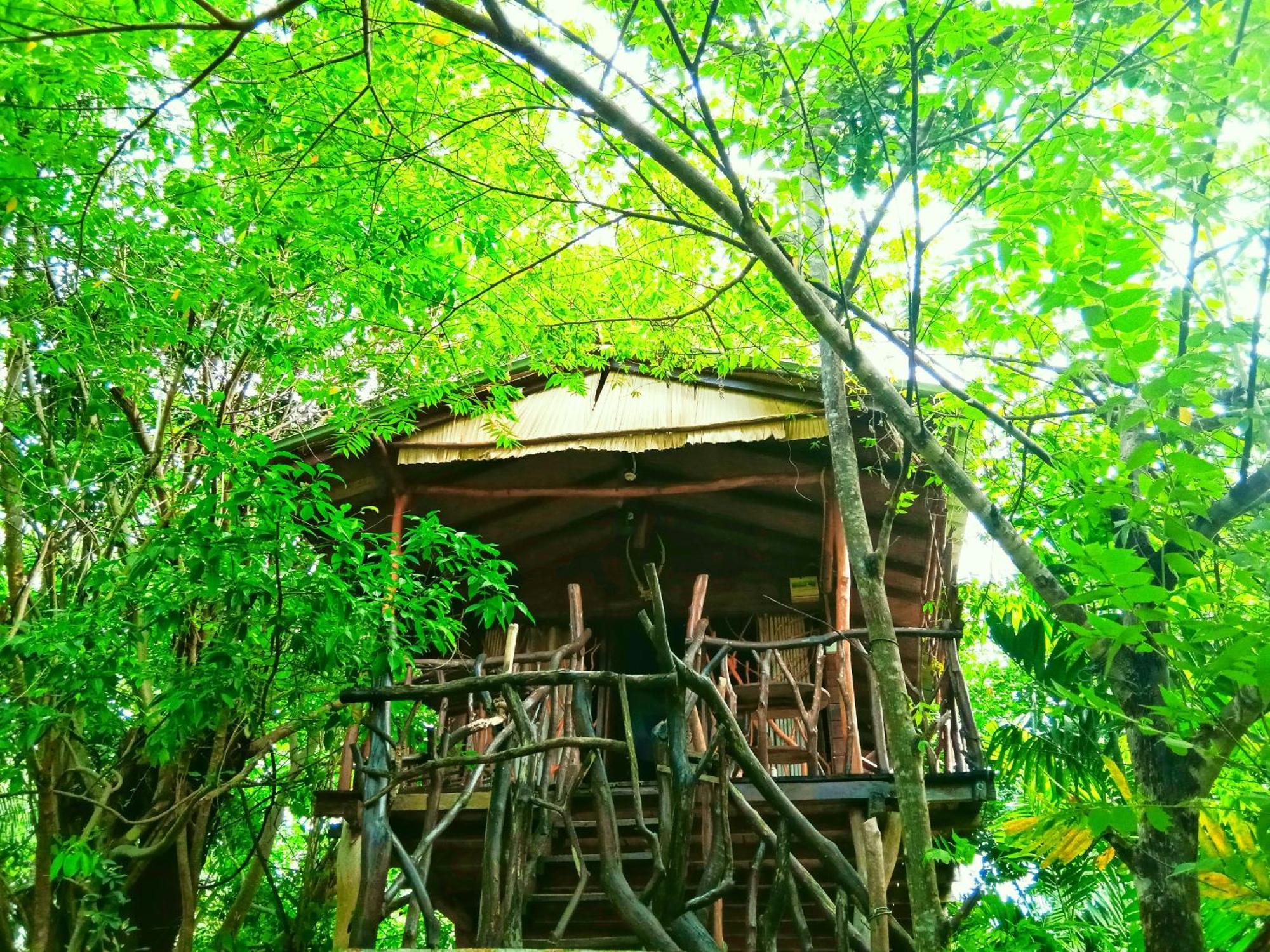 Sigiriya Rock Gate Tree House Hotel Kültér fotó