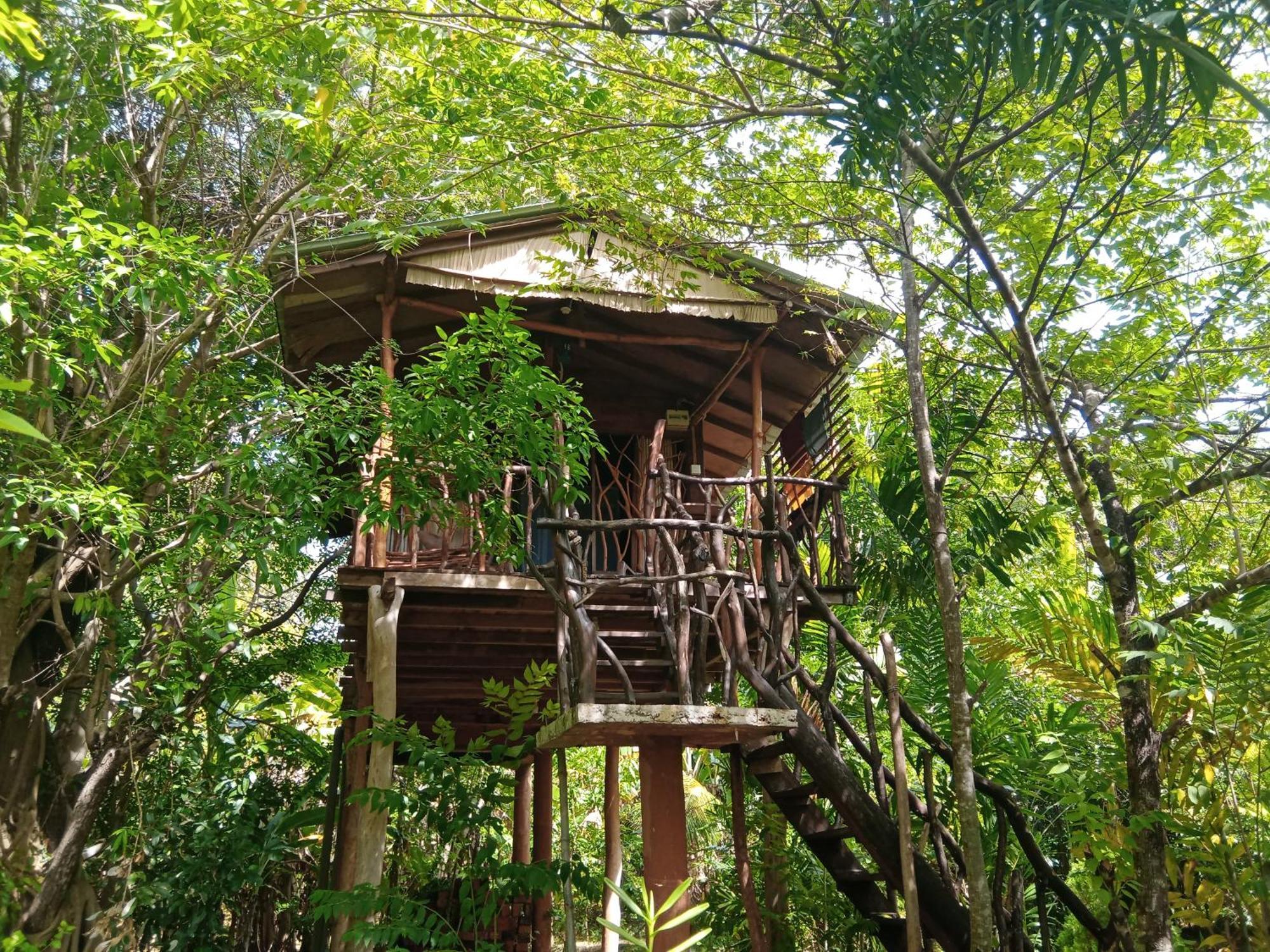 Sigiriya Rock Gate Tree House Hotel Szoba fotó